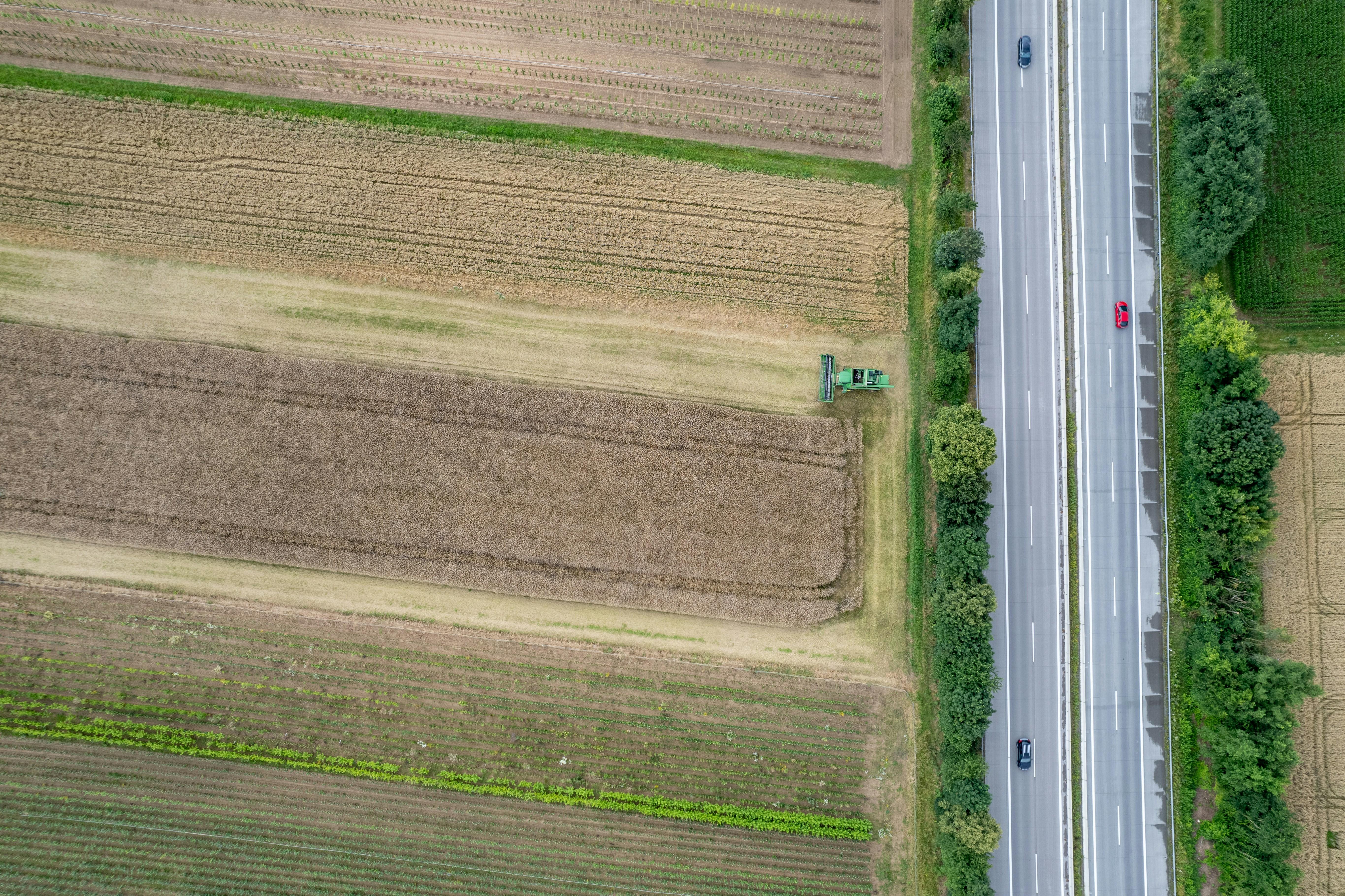 Crafting a Future Where Efficiency Meets Affordability