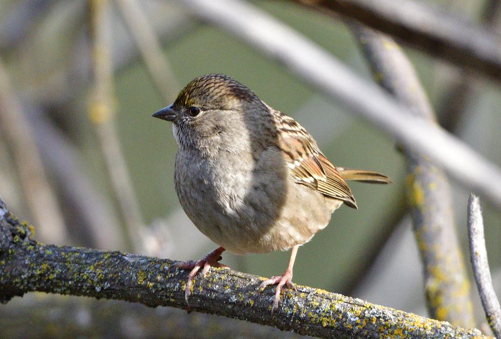 Strategic Solar Surge Inside the Innovative Approaches of Key Players