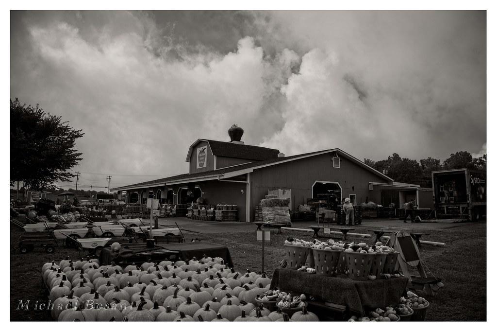 Innovation Meets Energy: The Role of Technology in Solar Market Expansion