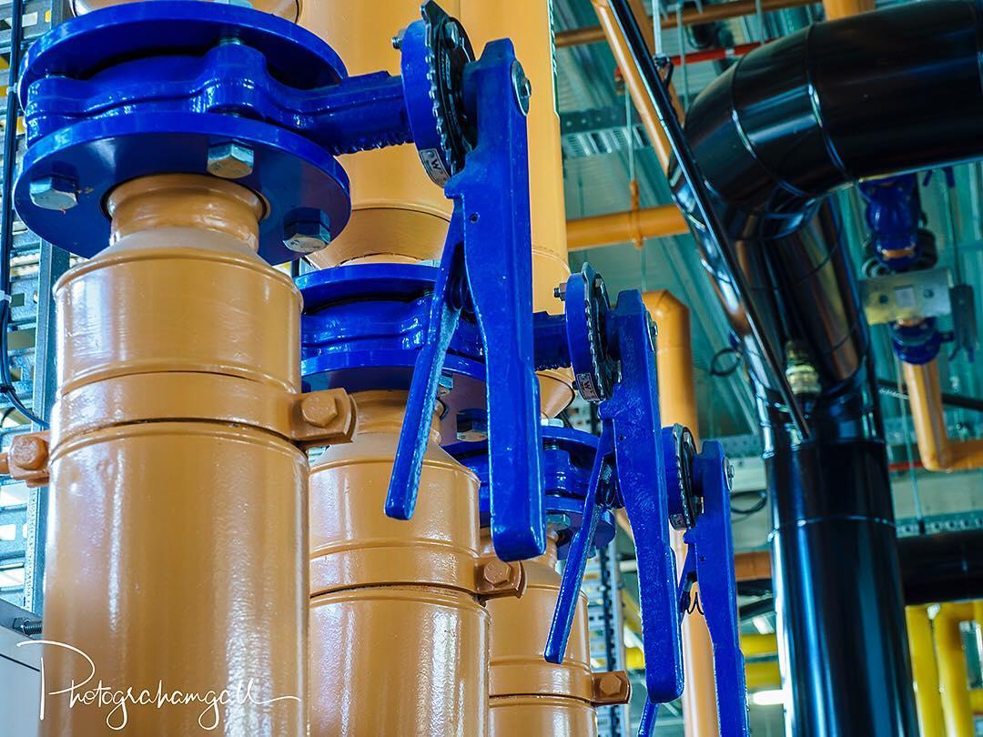 Harnessing Local Resources for Sustainable Architecture