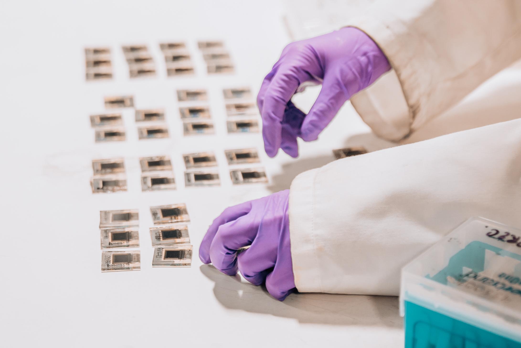 Maximizing Potential Expert Recommendations for Future Research and Development