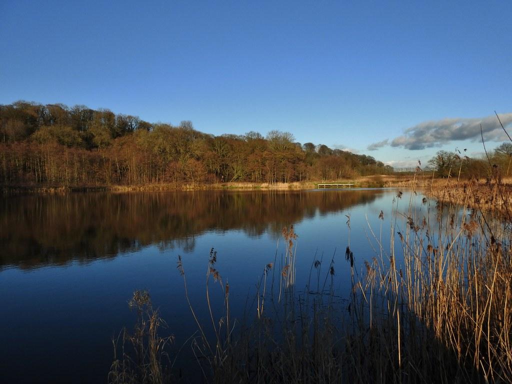 Balancing the Solar Scale: Economic and Environmental Impacts