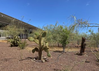 top solar energy investment projects of the year