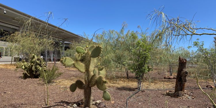 top solar energy investment projects of the year