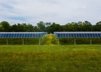 how much does solar energy save annually