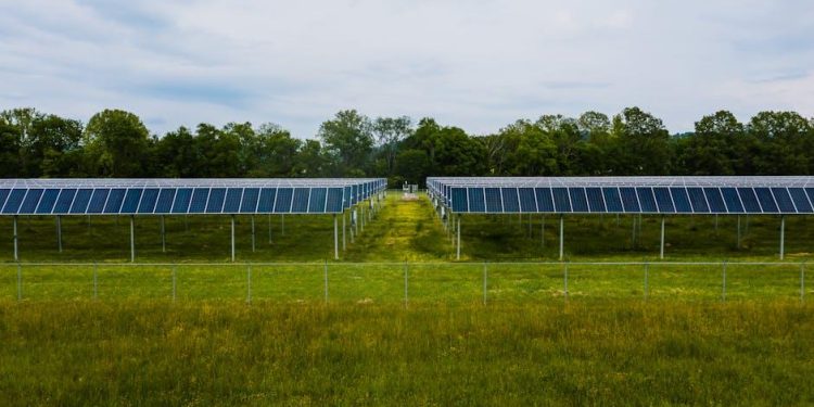 how much does solar energy save annually