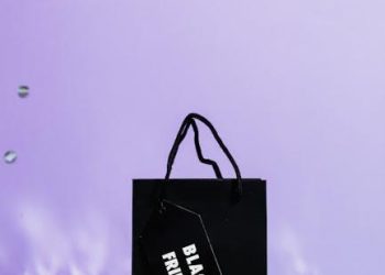 Should Cities Offer Incentives for Commercial Solar Over Residential