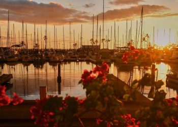 how government incentives shape solar market growth