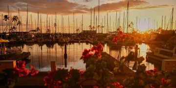 how government incentives shape solar market growth