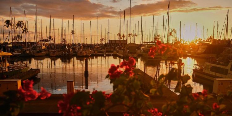 how government incentives shape solar market growth