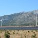 global leaders in solar energy production this year