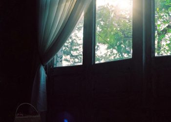 How Solar Windows Are Changing Building Designs