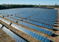 Do Solar Panels Contribute to Urban Heat Islands