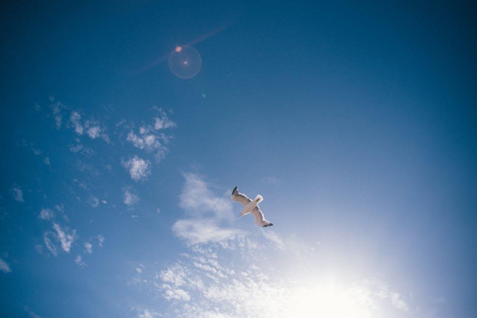 Innovative Technologies: Paving the Way for Solar Expansion