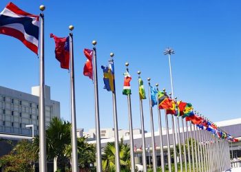 Exploring the Role of International Partnerships in Solar Development