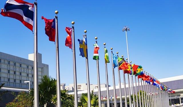Exploring the Role of International Partnerships in Solar Development