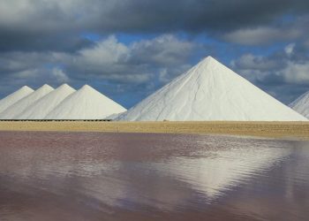 The Fastest-Growing Companies in the Solar Industry This Year