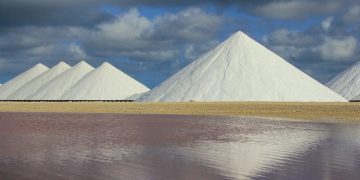 The Fastest-Growing Companies in the Solar Industry This Year