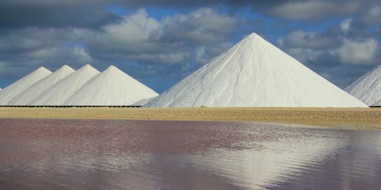 The Fastest-Growing Companies in the Solar Industry This Year