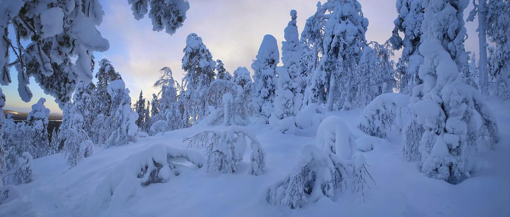 Strategic Recommendations for Optimizing Solar Net Metering