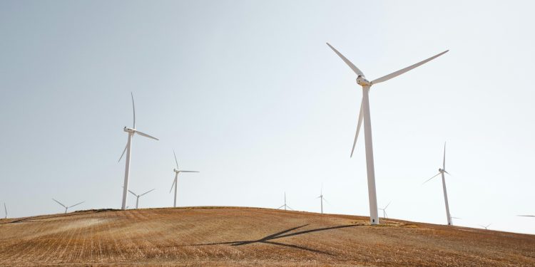 Should Governments Regulate the Use of Blockchain in Solar Energy