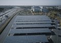 Are Solar Farms Disrupting Local Ecosystems
