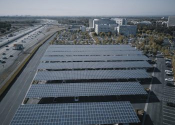 Are Solar Farms Disrupting Local Ecosystems