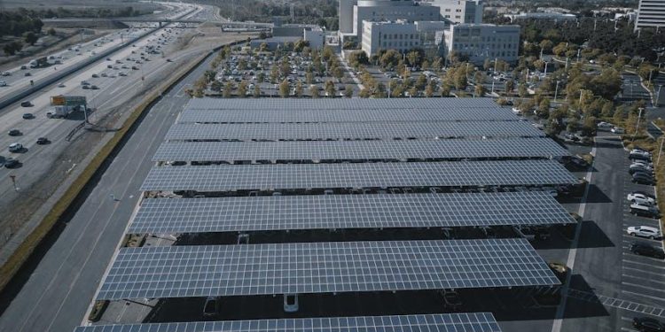 Are Solar Farms Disrupting Local Ecosystems