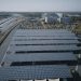 Are Solar Farms Disrupting Local Ecosystems