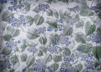 Are Solar Jobs Overpromised in Market Predictions