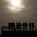 Is the Solar Industry Exploiting Cheap Labor