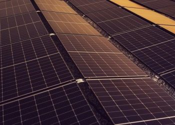 The Challenges of Scaling Solar Operations Globally