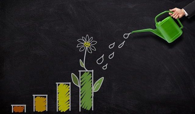 How Corporate Investments Are Driving Solar Market Trends