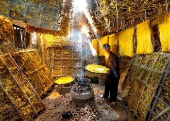 Are Local Solar Manufacturers Being Outcompeted by Imports