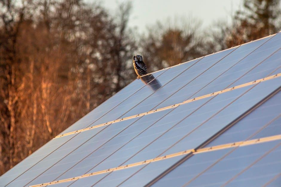 Maximizing Sun Exposure for Optimal Energy Capture