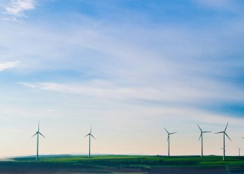 Does Solar Energy Take Too Long to Provide ROI for Businesses