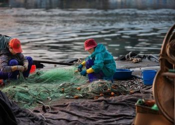 cost savings with solar net metering programs