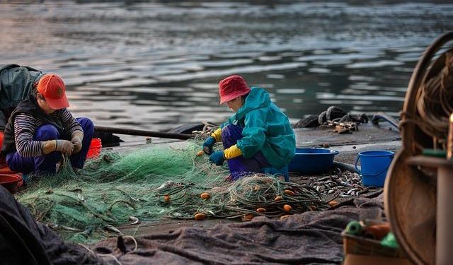 cost savings with solar net metering programs