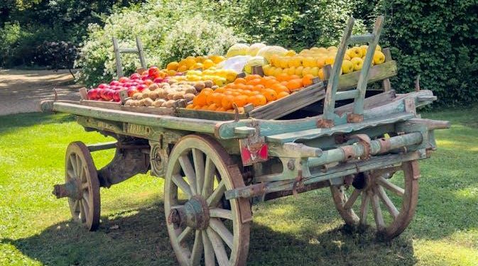 solar markets adapting to renewable energy competition