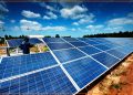 Should Solar Panels Be Mandated in Sunny States