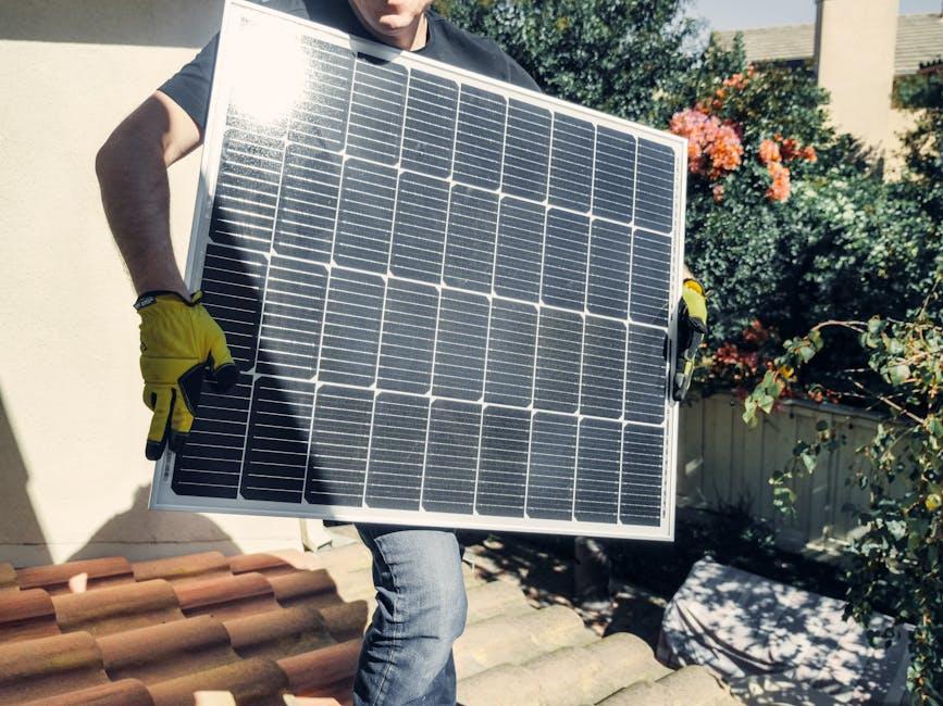 Evaluating Your Space and Sunlight Needs
