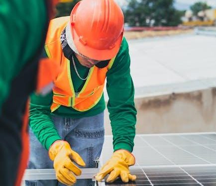 Does the Cost of Solar Justify Its Environmental Impact