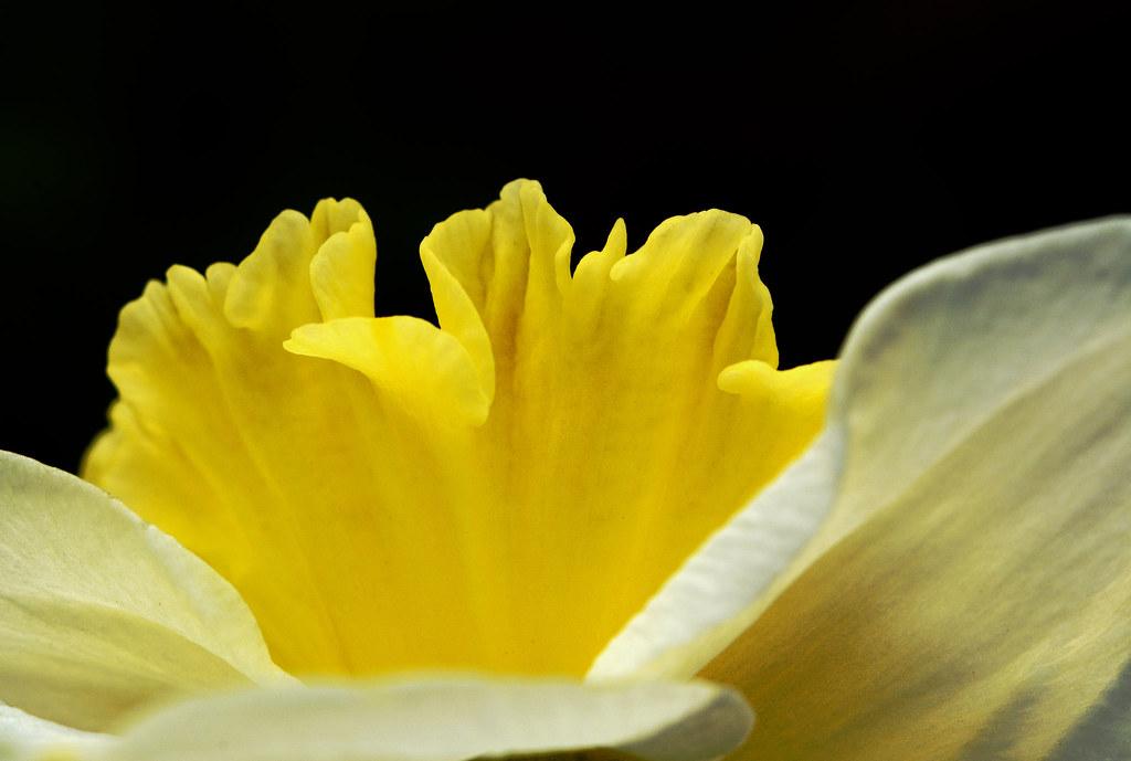 The Role of Government Policies in Shaping Solar Manufacturing Excellence