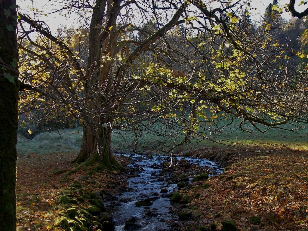 Sustainable Growth: The Secrets Behind the Solar Industrys Rapid Expansion