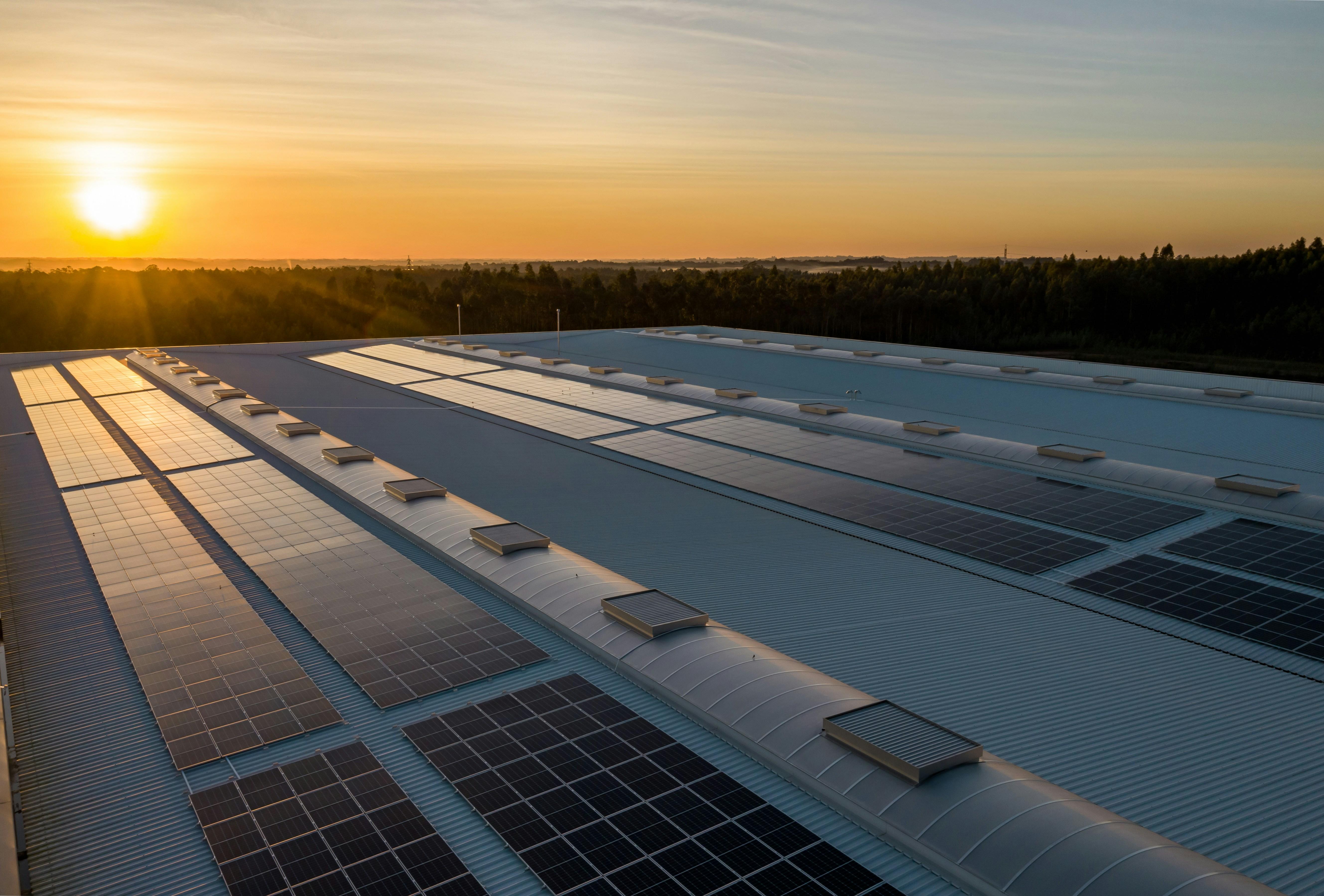 Strategic Recommendations for Adapting to Solar Industry Trends