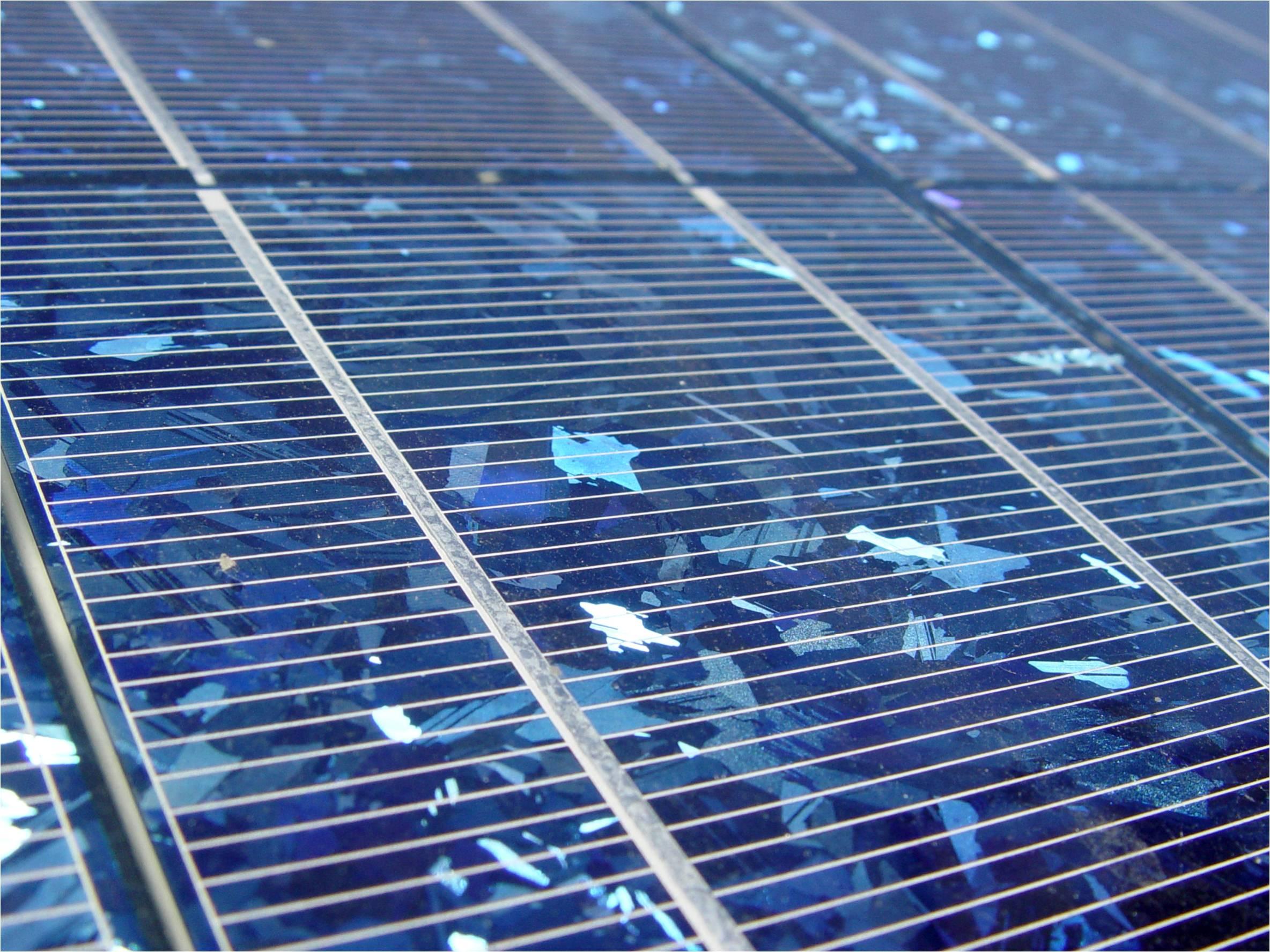 Navigating the Market: Tips for Choosing the Right Solar Panels for Your Budget