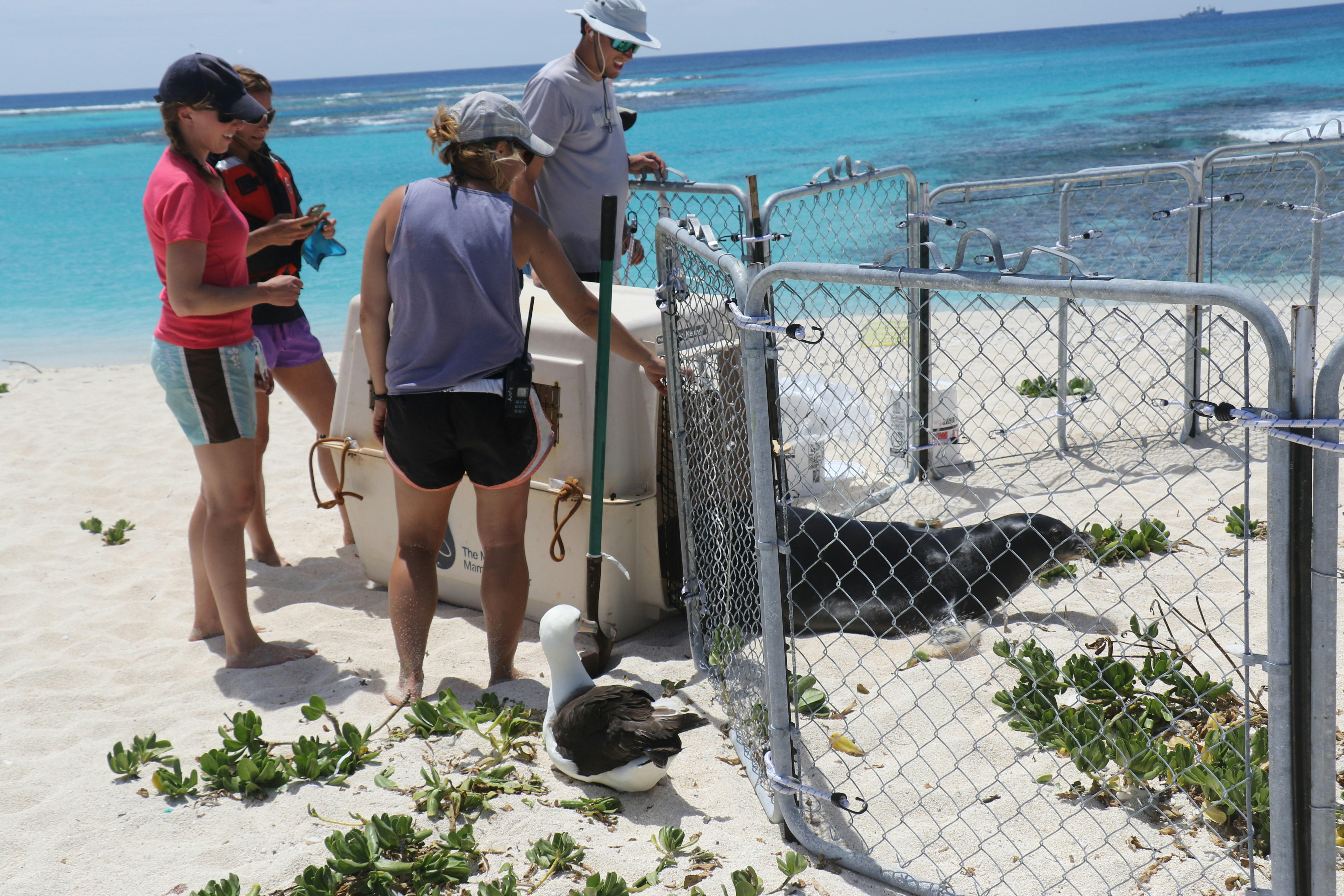 Balancing Renewable Energy Goals with Marine Biodiversity