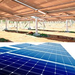 Harnessing the Sun: Breakthroughs in Off-Grid Solar Solutions